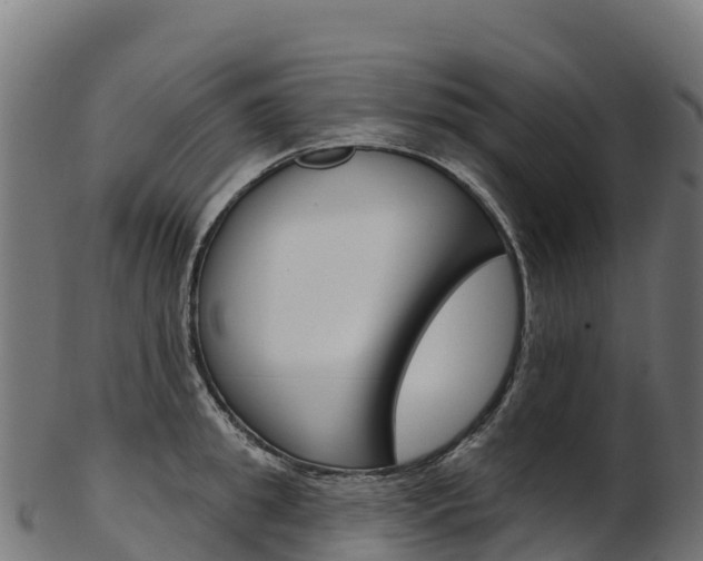 X0000103470949200809121117