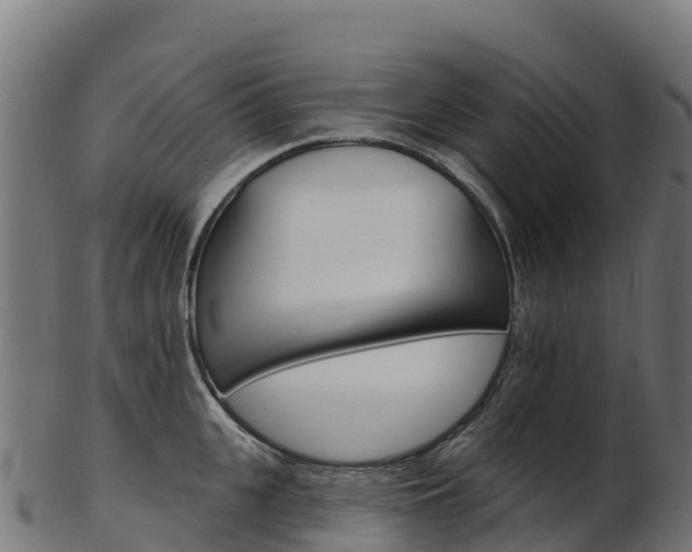X0000103470951200809121117