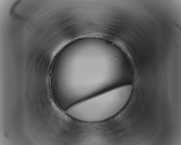 X0000103470952200809121117