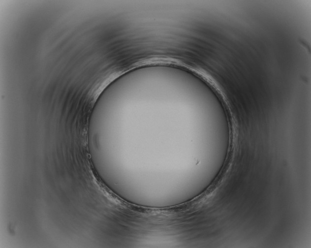 X0000103470953200809121117
