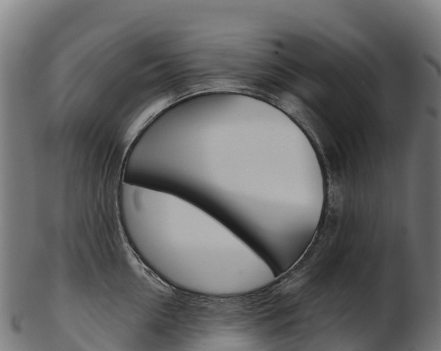 X0000103470954200809121117