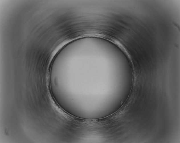 X0000103470955200809121117