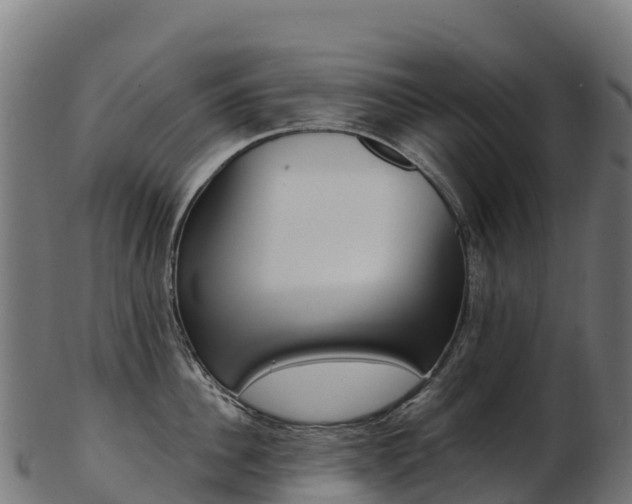 X0000103470956200809121117