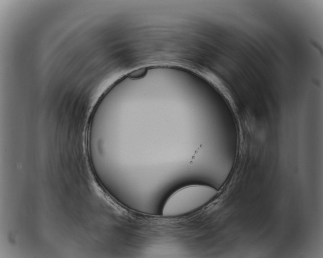 X0000103470958200809121117