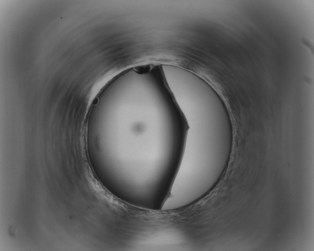 X0000103470960200809121117