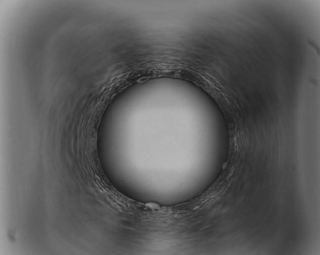 X0000103470961200809121116
