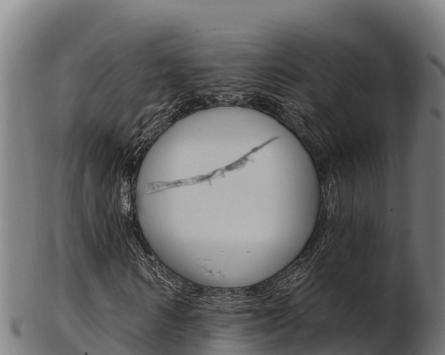X0000103470962200809121116