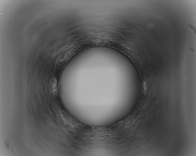 X0000103470963200809121116