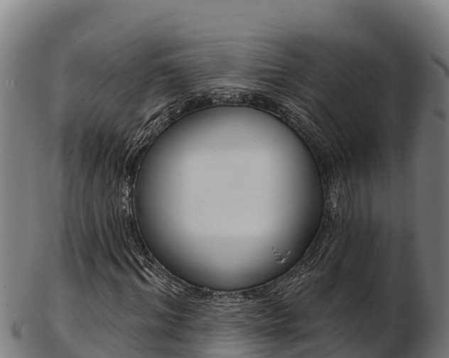 X0000103470964200809121116