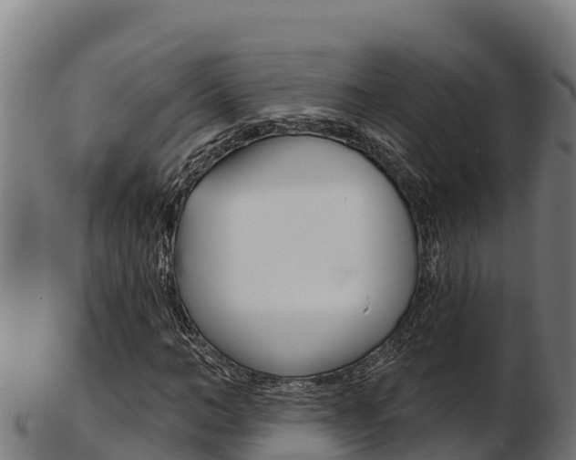 X0000103470966200809121116