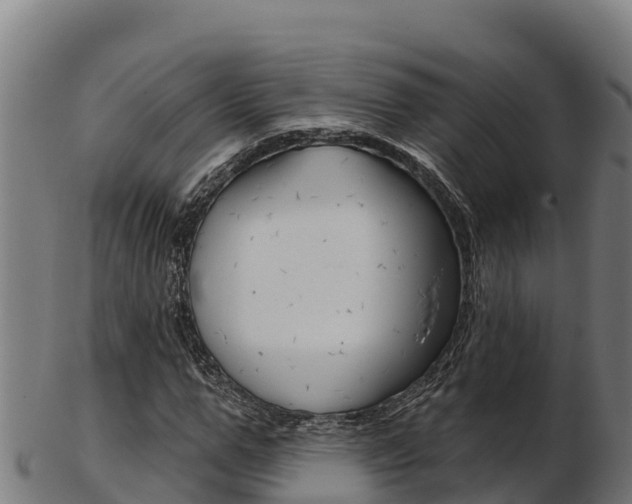 X0000103470967200809121116