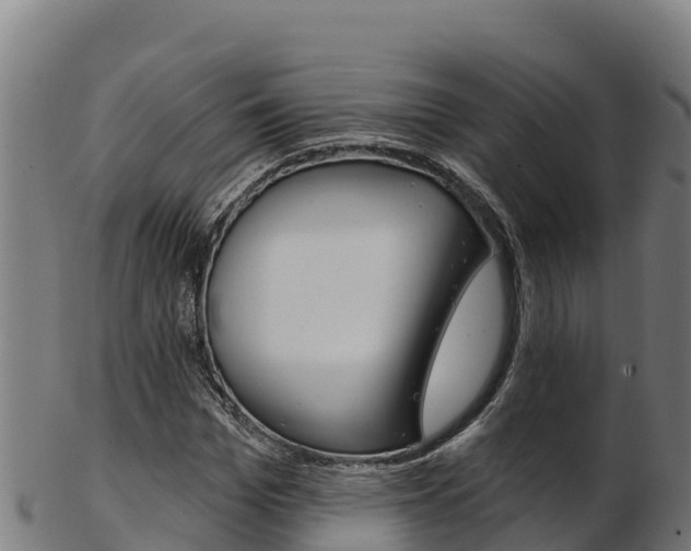 X0000103470969200809121116