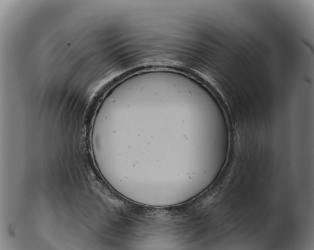 X0000103470971200809121116