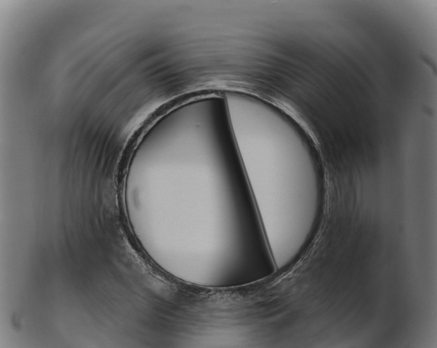 X0000103470972200809121116
