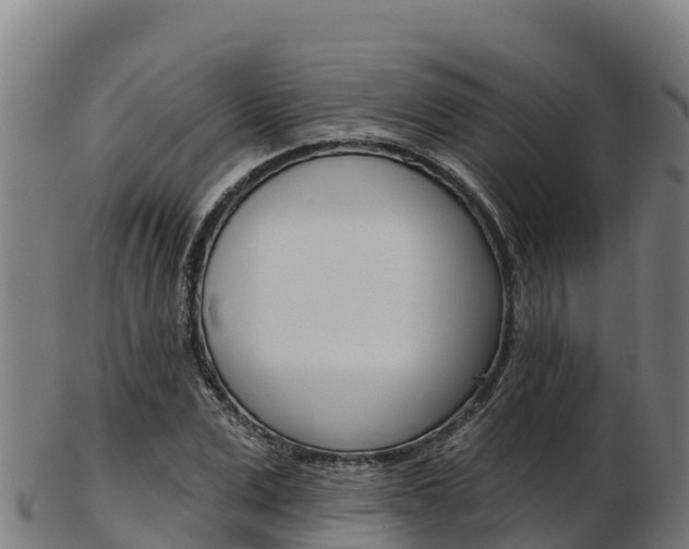 X0000103470975200809121116