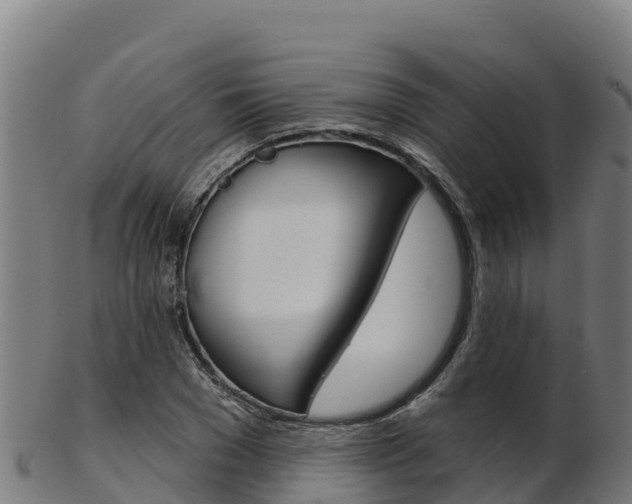 X0000103470977200809121116