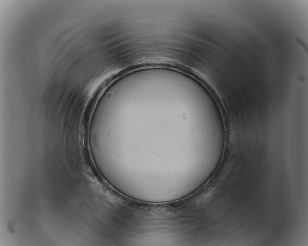 X0000103470979200809121116