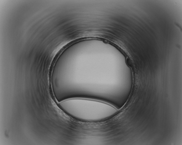 X0000103470980200809121116
