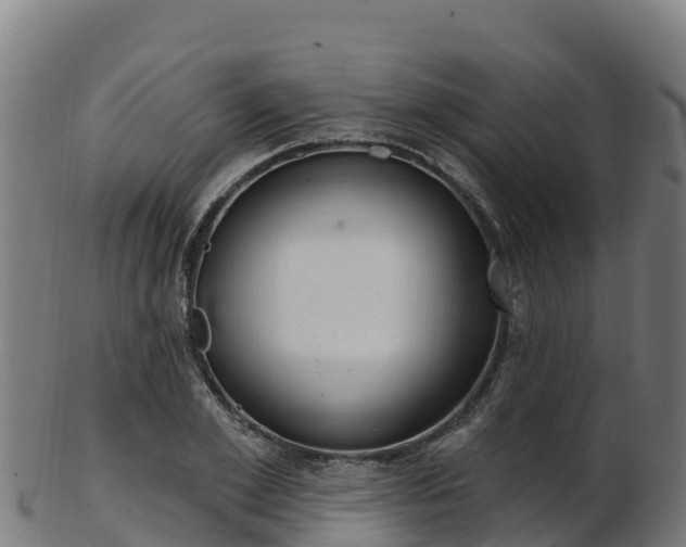 X0000103470981200809121116