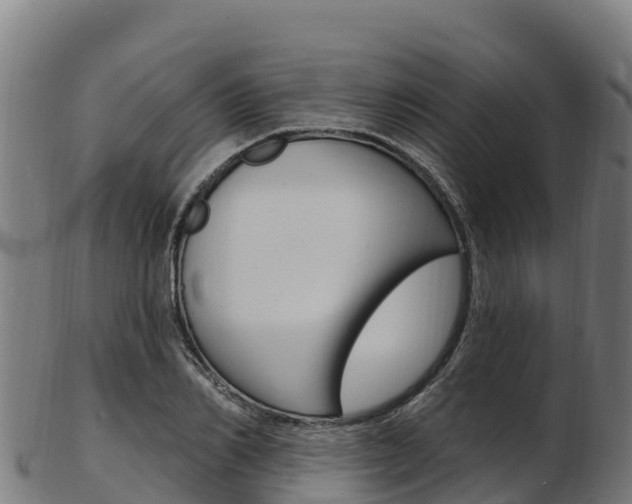 X0000103470982200809121116