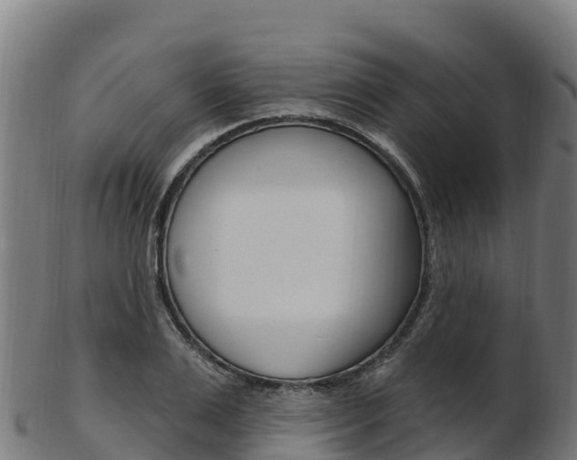 X0000103470983200809121116