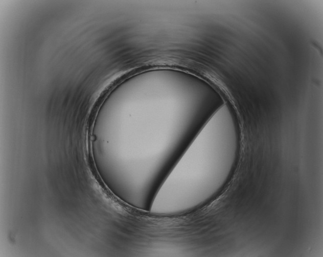 X0000103470984200809121116