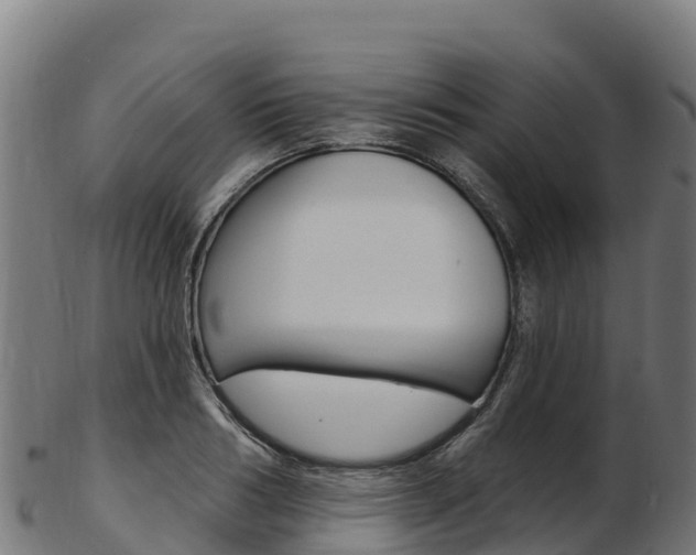 X0000103470986200809121116