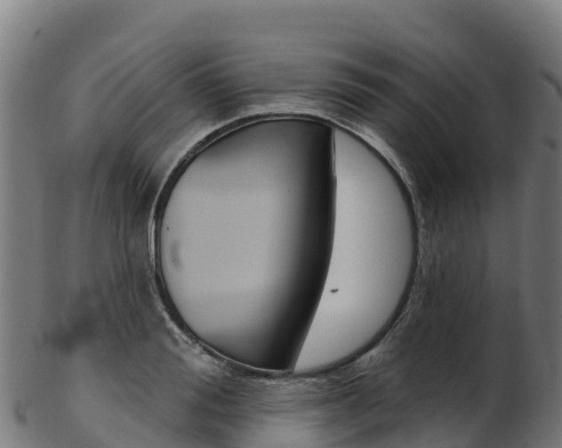 X0000103470988200809121116