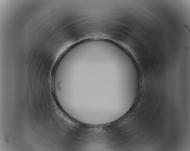 X0000103470990200809121116