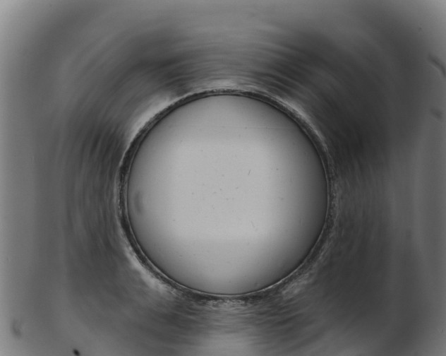 X0000103470991200809121116