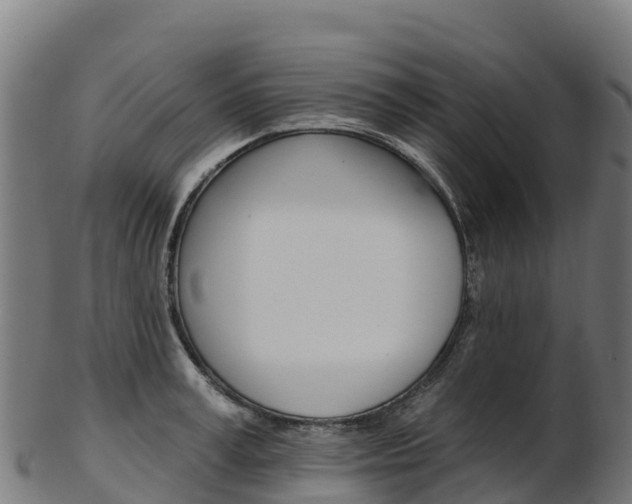X0000103470995200809121116