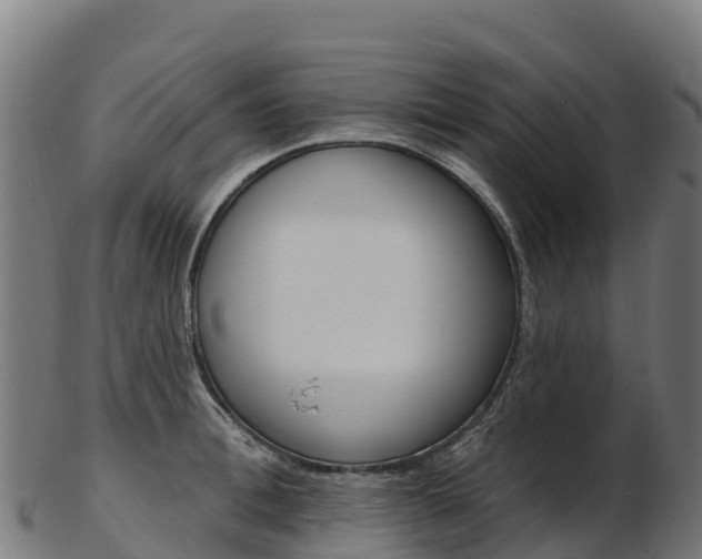 X0000103470996200809121116