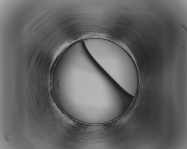 X0000103470997200809121116