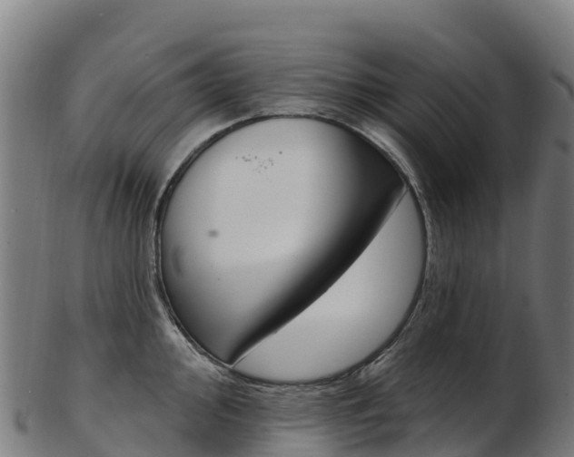 X0000103471000200809121116