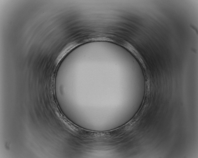 X0000103471002200809121116
