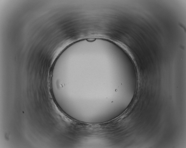 X0000103471006200809121115
