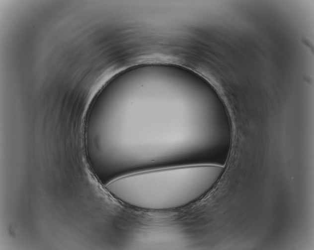 X0000103471008200809121115