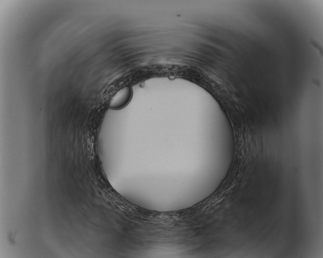 X0000103471013200809121115