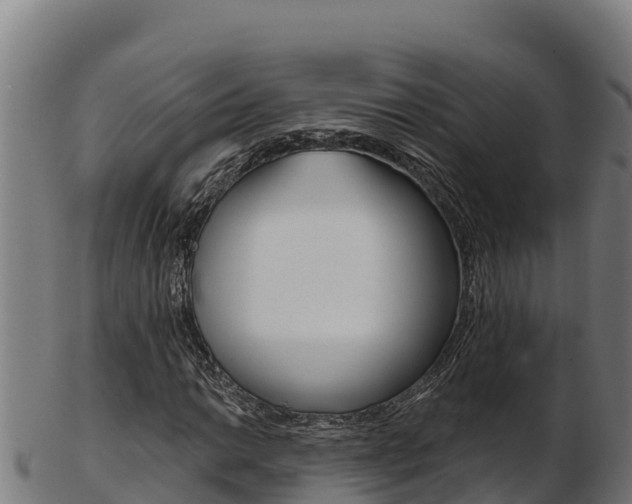 X0000103471014200809121115
