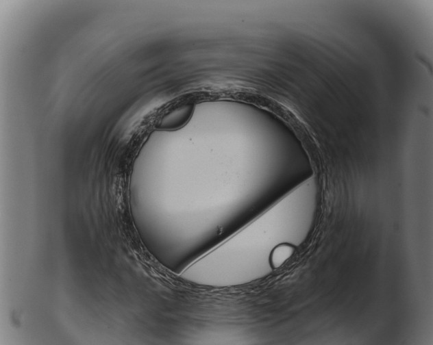 X0000103471016200809121115