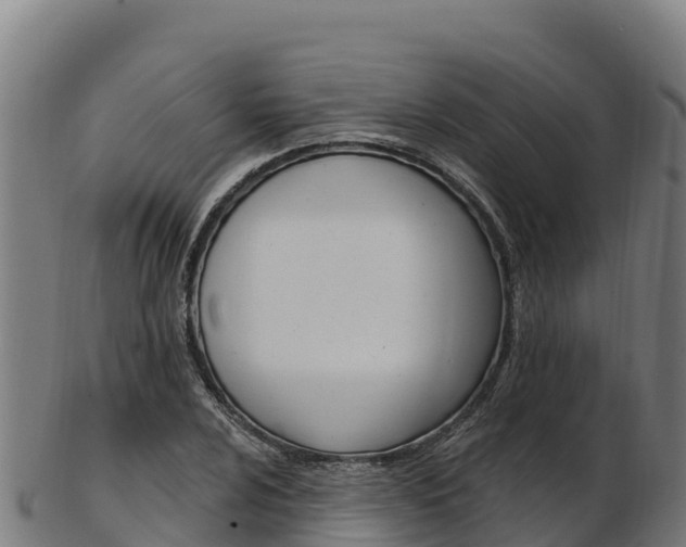 X0000103471024200809121115