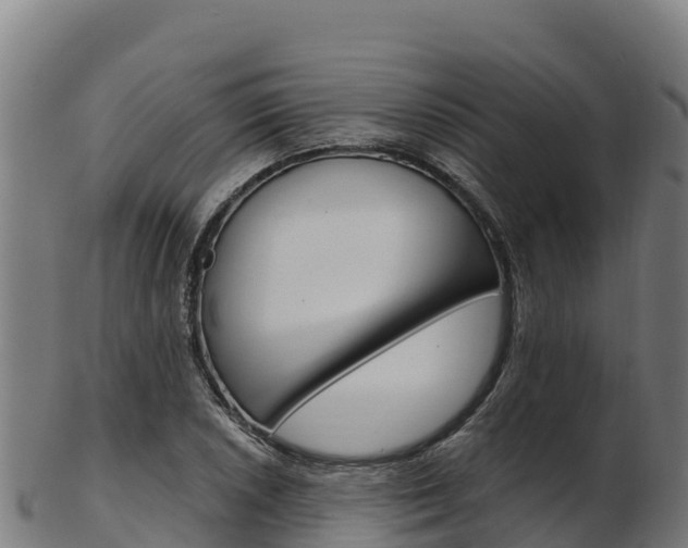 X0000103471026200809121115