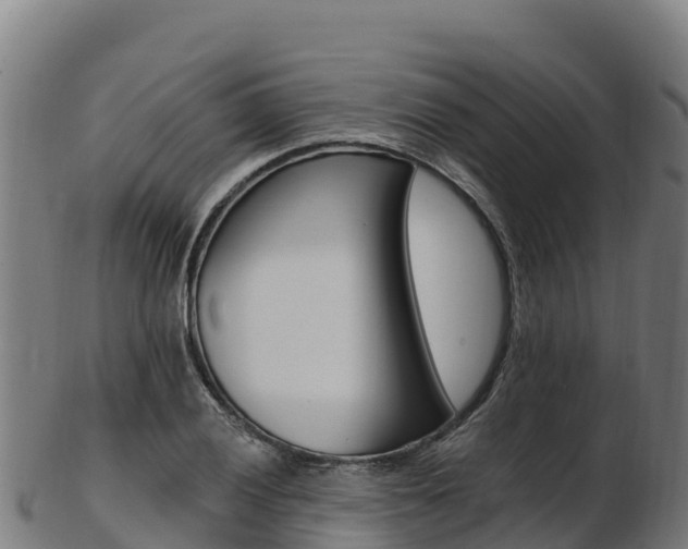 X0000103471028200809121115