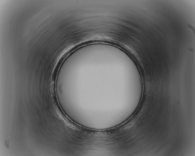 X0000103471029200809121115