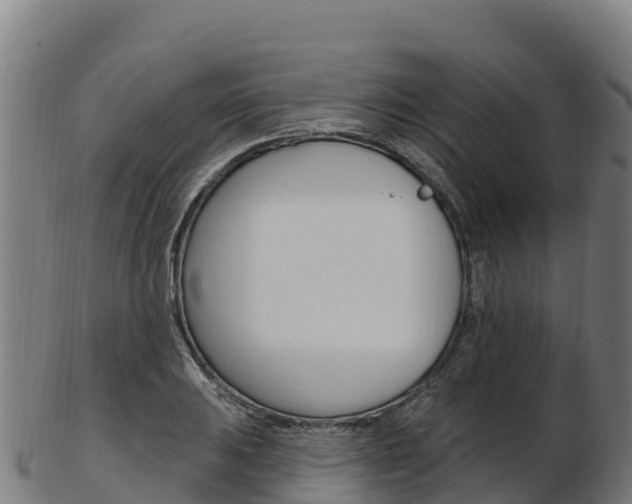 X0000103471031200809121115