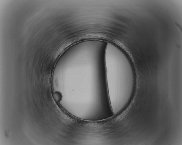X0000103471033200809121115
