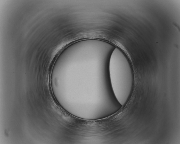 X0000103471035200809121115