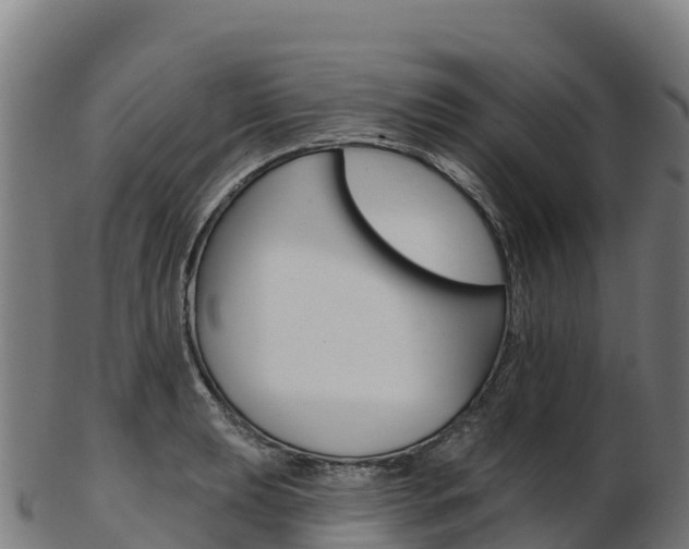 X0000103471039200809121115
