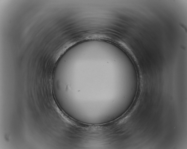 X0000103471041200809121115