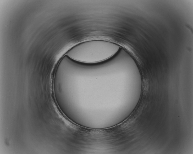 X0000103471046200809121115